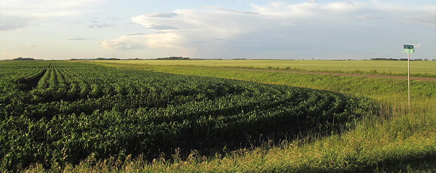 appraised agricultural land